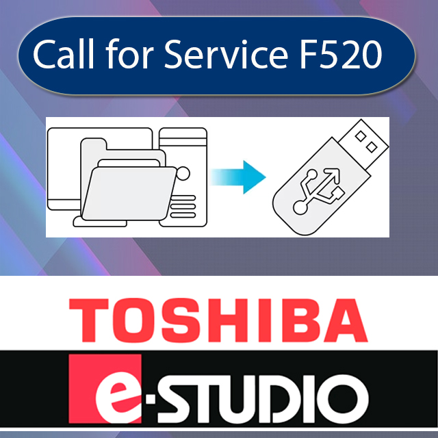 [F520] Operating system start error Classification: Other service call Error item            : The operating system fails to start. Check item Measures: Setting 1. Reboot. 2. If it has still not recovered, reinstall the system software. 3. If it still persists after step 2, perform HS-73 Assist mode - > Format HDD, and then reinstall the system software. User data will be deleted when HS-73 Assist mode -> Format HDD is performed.